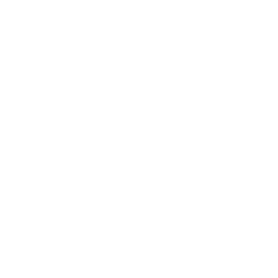 Northern Lights Lacrosse Logo