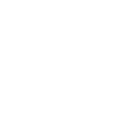 Peace Arch Hospital Foundation Logo